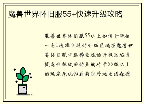 魔兽世界怀旧服55+快速升级攻略